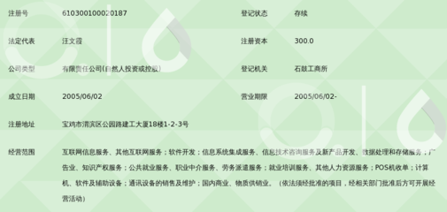 陜西匯才信息科技 專業(yè)信息技術(shù)咨詢的領(lǐng)航者
